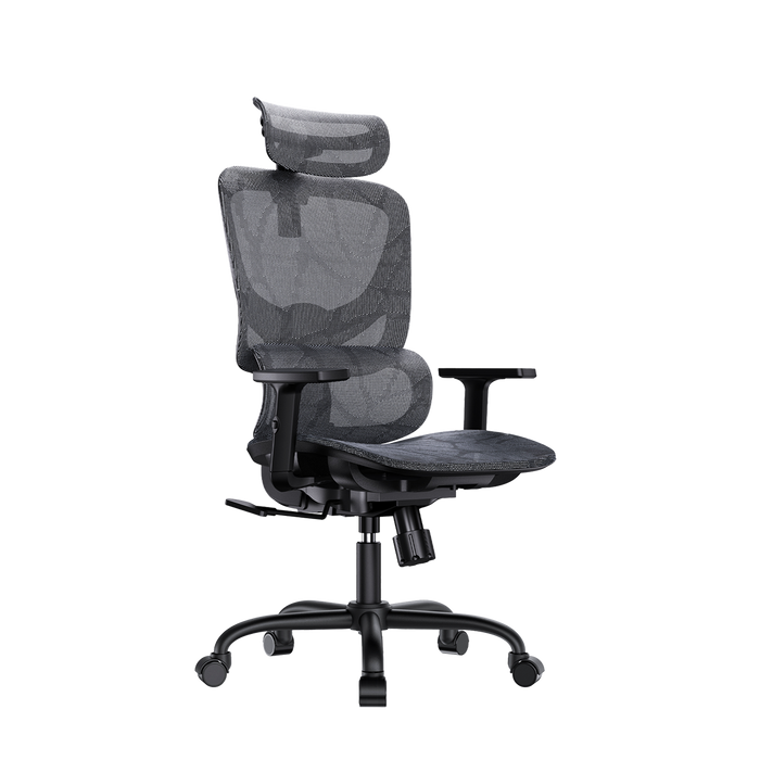 Dual-Adjust Ergonomic Chair