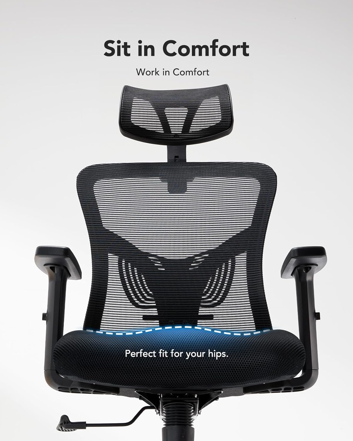 HUANUO Ergonomic Mesh Office Chair with Lumbar Support & Headrest