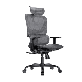 Dual-Adjust Ergonomic Chair