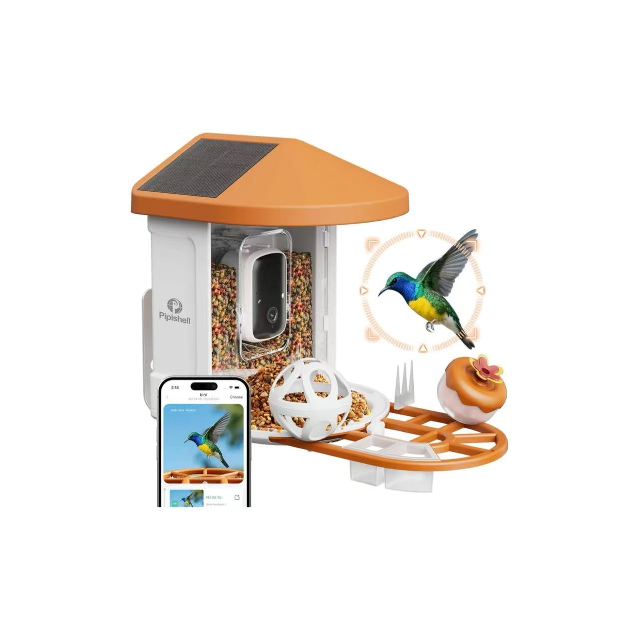Bird Feeder