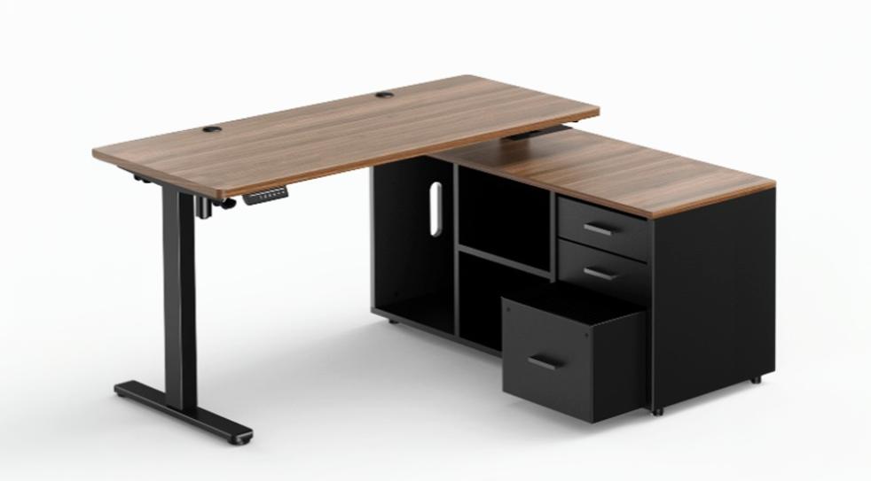 Executive Standing Desk