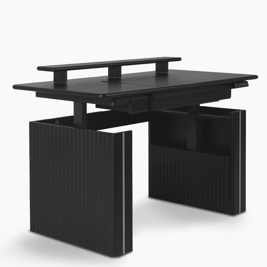 Modern Executive Standing Desk