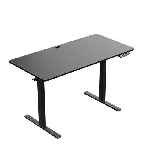 Electric Adjustable Standing Desk