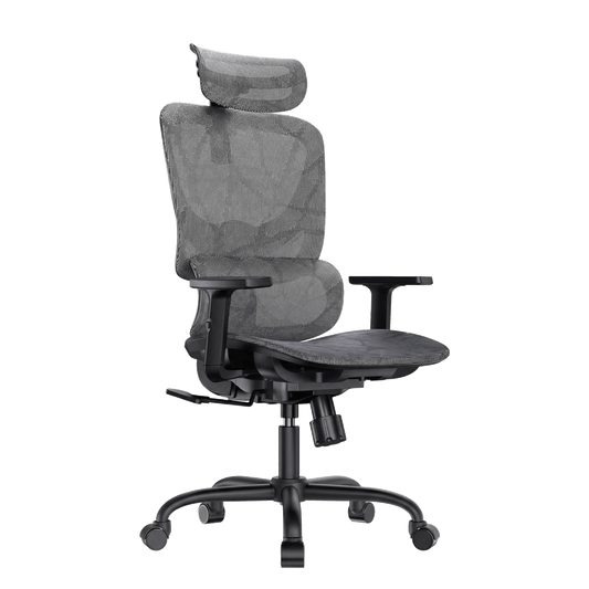 ErgoPlus Mesh Office Chair