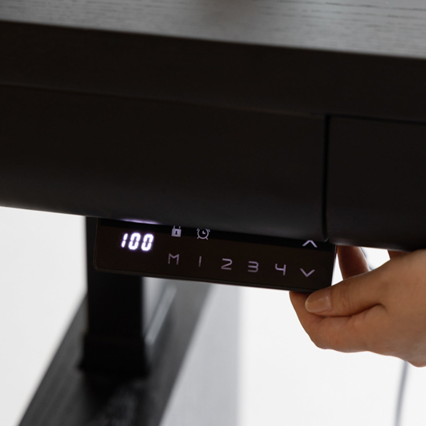 Luxury Executive Standing Desk