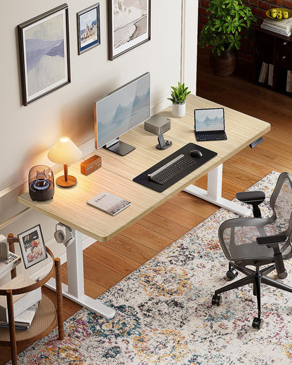 HUANUO Classic Adjustable Standing Desk
