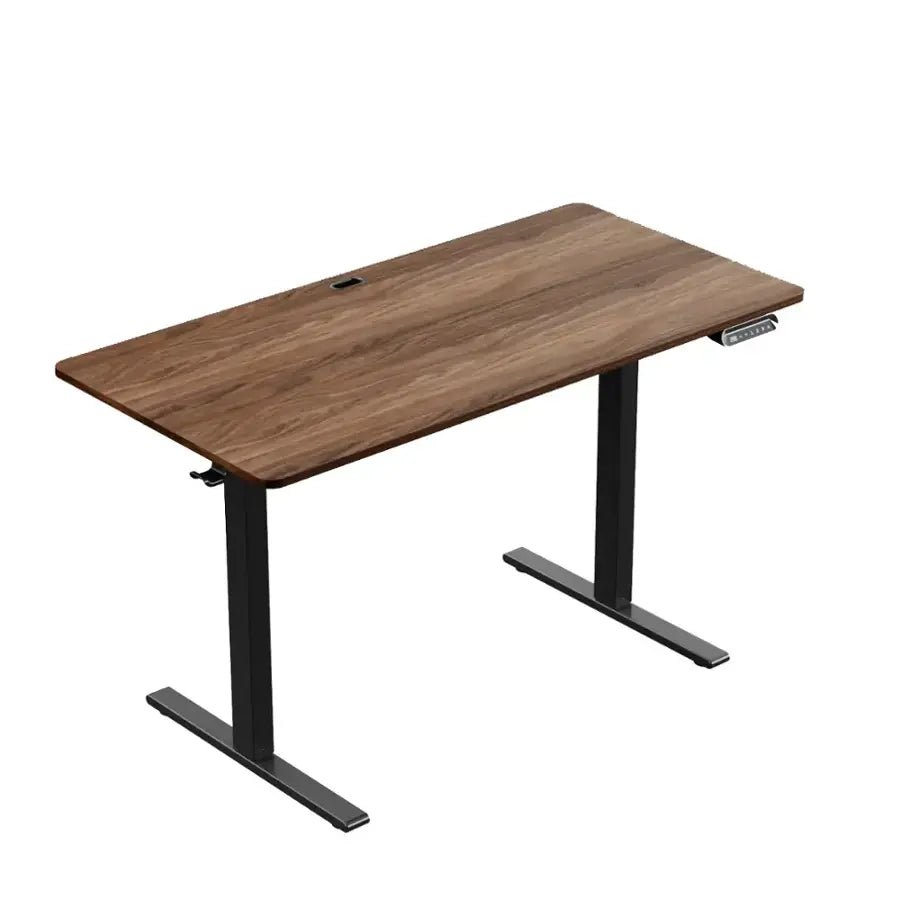 Electric Adjustable Standing Desk - 40