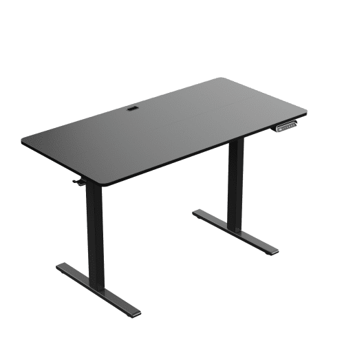 Electric Adjustable Standing Desk - 40