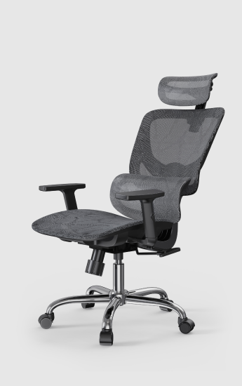 Ergonomic Chair