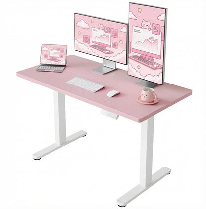 HUANUO 55 x 28 inch Electric Standing Desk Adjustable Height, 4 Memory Height Settings, Sit Stand Up Desk for Home Office & Computer Workstation, Light Walnut - AI-48" X 24"