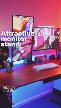 DS12 Dual Monitor Arm with USB Ports
