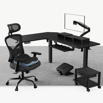 Ergonomic Bundle + Free Back-to-School Gifts