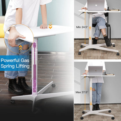 Portable Height Adjustable Standing Desk